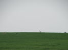 DSC09625