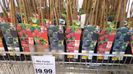 oferte lidl 14 martie