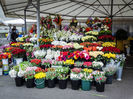 DSC01955