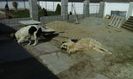 IMG-20160314-WA0011