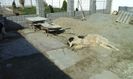 IMG-20160314-WA0019