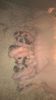 WP_20160306_002