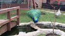 20160315_153605