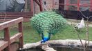20160315_153601