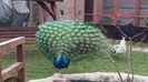20160315_153556