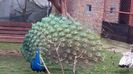 20160315_153551