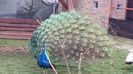 20160315_153550