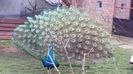 20160315_153549
