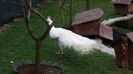 20160315_153537