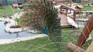 20160315_153445