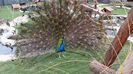 20160315_153442