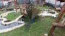 20160315_153432