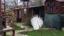 20160315_114110