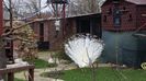 20160315_114109