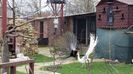 20160315_114103