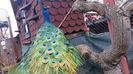 20160315_095320