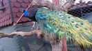 20160315_095316