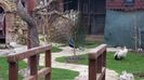 20160315_084236