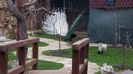 20160315_084216