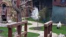 20160315_084207