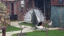 20160315_084120
