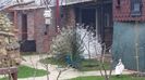 20160315_084112