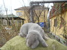DSCN0271