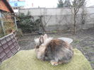 DSCN0274