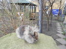 DSCN0275