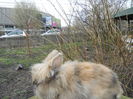 DSCN0278