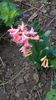 WP_20160314_17_36_07_Pro