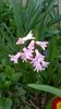 WP_20160314_17_36_52_Pro