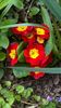 WP_20160314_17_37_43_Pro