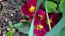 WP_20160314_17_37_49_Pro