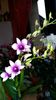 20160203_082646