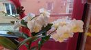 20160208_163727