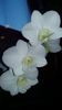 20160208_163840