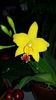 20160303_062300