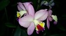 20160303_062327