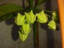 20160316_091027
