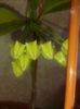 20160315_101111