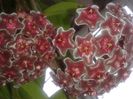 20160315_101320