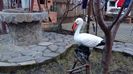 20160221_173043