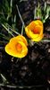 20160302_090940