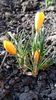 20160302_091027