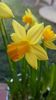 20160308_161513