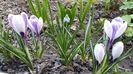 20160308_161536