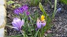 20160308_161557
