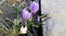 20160308_161605