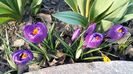 20160308_161728